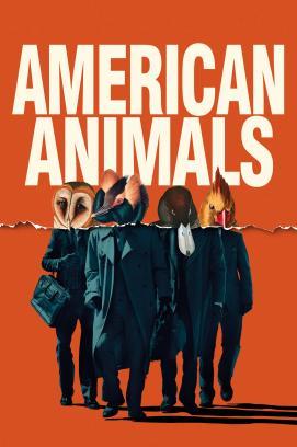 American Animals