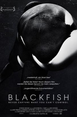 Blackfish