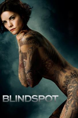 Blindspot - Staffel 5