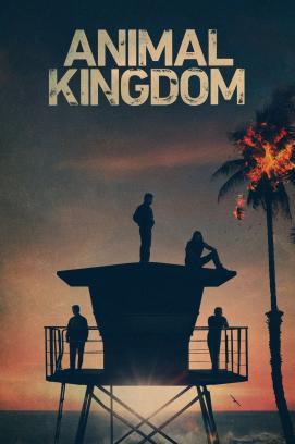 Animal Kingdom - Staffel 6