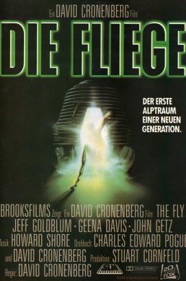 Die Fliege