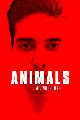 Animals - Wie wilde Tiere