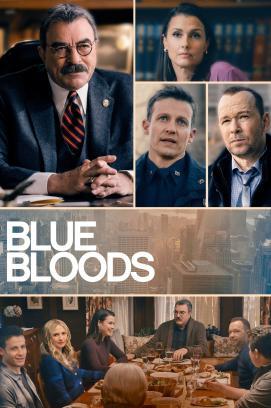 Blue Bloods - Crime Scene New York - Staffel 13