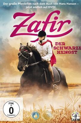 Zafir - Der schwarze Hengst